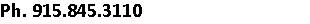 Ph. 915.845.3110